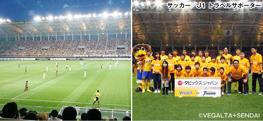 プロスポーツ団体のサポート事業