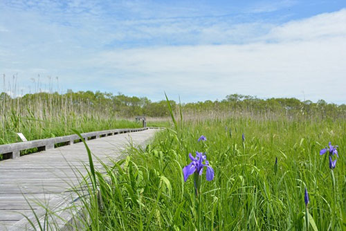 釧路湿原国立公園