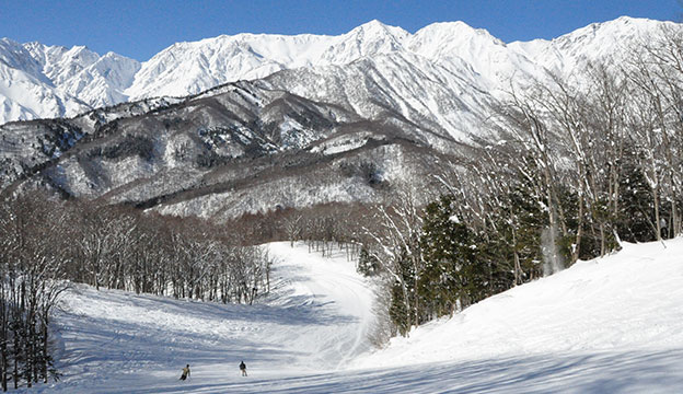 白馬岩岳スノーフィールド